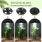 Maxdot Glass Plant Terrarium Kit with Light for Succulent, Moss, Miniature Gardening Landscape, Betta Fish Tank, Office Home Decoration, Plant Lovers Gifts(9.8 x 5.9 Inch)