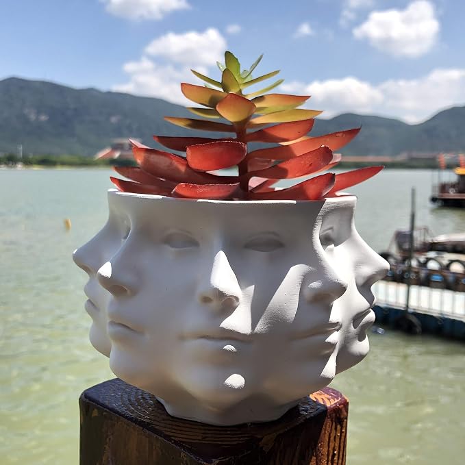 Multi-Face Succulent Planter Vase - Small Face Plant Head Home Decoration - Indoor Cactus Pot