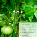 300 Pcs Plant Clips for Climbing Plants, Tomato Clips for Support, Plastic Garden Clips for Plants Grape Vine Vegetables Make Plant Grow Upright