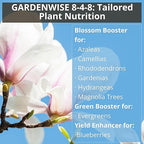 GARDENWISE 8-4-8 Acidic Fertilizer for Azaleas, Camellias (Camelia), Hydrangeas, Blueberries, Gardenias, Magnolia Trees, Evergreens, and Rhododendrons - Ideal Iron-Rich Plant Food (4 QUARTS)