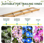 Bamboo Trellis 10 Pack, 16 Inches S2 Natural Bamboo Plant Ladder Stakes, Fan-Shaped Plant Support Stand for Orchid Vines, Monarchs, Ivy and Other Plants Climbing, Help Plant Growth
