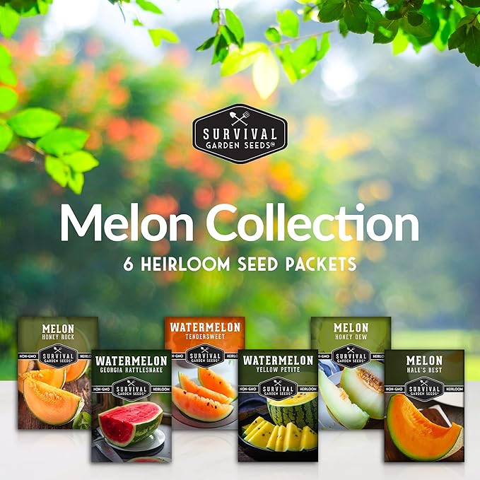 Melon Seeds for Planting Variety Pack – 6 Heirloom Cantaloupe, Honeydew & Watermelon Types – Honey Rock, Hale’s Best, Tendersweet, Georgia Rattlesnake – Survival Garden Seeds
