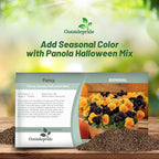 Outsidepride Panola Halloween Mix Viola Pansy Seeds for Planting - 50 Pcs. Biennial, Cold-Hardy & Pollinator Friendly Flowers with Fragrant Blooms for Garden Beds, Borders & Container Displays