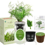 Hydroponic Herb Growing Kit, Self-Watering Mason Jar Herb Garden Starter Kit Indoor, Windowsill Herbs Garden, New Christmas Grden Gift for Mom (Dill)