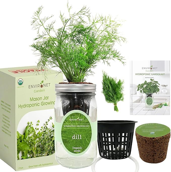 Hydroponic Herb Growing Kit, Self-Watering Mason Jar Herb Garden Starter Kit Indoor, Windowsill Herbs Garden, New Christmas Grden Gift for Mom (Dill)