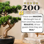 Artificial Bonsai Tree 16" Tall with Realistic Wood and Ceramic Pot, Fake Plants for Home, Bedroom and Office Desk, Japanese Decor