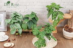 Der Rose 4Pcs Small Fake Plants Artificial Mini Faux Plants for Bathroom Office Desk Shelf Table Accessories Decor Indoor