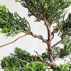 Wazakura Annealed Copper Bonsai Training Wire Made in Japan, Rust Resistant Outdoor Plant Cable (95.1 ft/29 m roll) - 1.6mm, Copper Wire