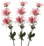 Spider Mum Artificial Flower 32" Real Touch 9 Flowers Pack of 3 (Rose Pink)