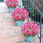 6 Bundles Artificial Geranium Flowers for Outdoors, Realistic Silk Geraniums Fake Flowers UV Resistant Faux Plants for Porch Front Door Planter Patio Balcony Outside Decor (Pink)