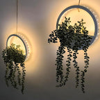 Comtelek 2pcs Artificial Hanging Plants with Lights Fake Succulents Plant in Pot Boho Wall Decor Fake String of Pearls with Lanyard for Bathroom Living Room Home Balcony Ceiling (White)