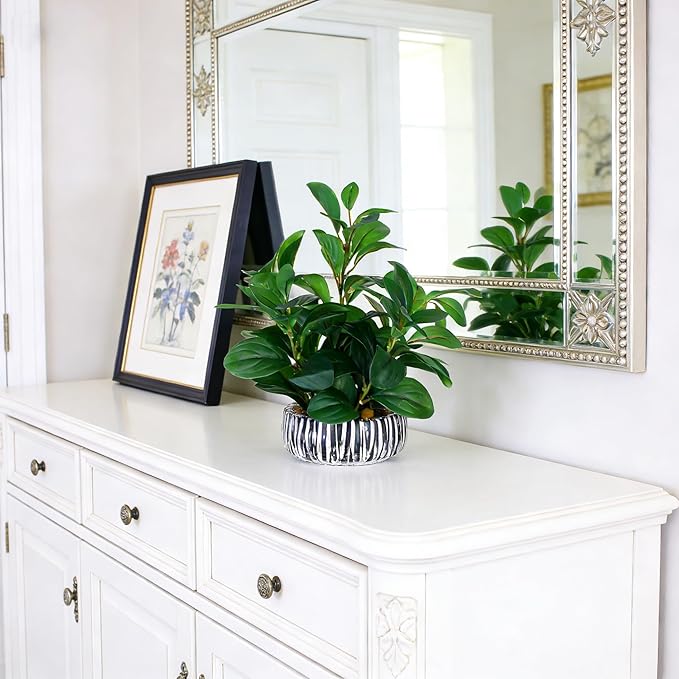 NASAMA Realistic Artificial Potted Plant, Faux Indoor Greenery for Home Office Living Room Bookshelf Bathroom Decor, Low--Maintenance Space-Saving Fake Plants with Modern Decorative Vase