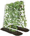 Cucumber Trellis - 62.4"*50" Cucumber Trellis for Raised Bed with Plastic-Coated Steel Pipe, U-Shape Garden Trellis for Climbing Plants, Garden Trellis for Cucumbers, Beans(Black)