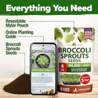 HOME GROWN Broccoli Seeds 8 oz Bulk Heirloom Non-GMO, High Germination, Sulforaphane Rich Sprouting Seeds, Nutritious Microgreens, Healthy Sprouts in 5 Days, Superfood Boost (Brassica oleracea)