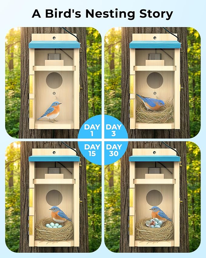 Bird House with Camera Solar Powered, Wi-Fi,Motion Detection & Night Vision,Pine Wood Birdhouse with Camera Inside,Ideal for Backyard & Nature Lovers(Light Blue)