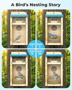 Bird House with Camera Solar Powered, Wi-Fi,Motion Detection & Night Vision,Pine Wood Birdhouse with Camera Inside,Ideal for Backyard & Nature Lovers(Light Blue)