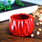 Live Lucky Bamboo 2 Stalk Arrangement in Round Red Ceramic Planter - 4 and 6 Inches Lucky Bamboo Indoor Potted House Plant for Home and Office Decor