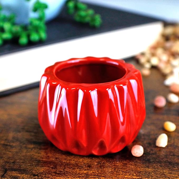 Live Lucky Bamboo 2 Stalk Arrangement in Round Red Ceramic Planter - 4 and 6 Inches Lucky Bamboo Indoor Potted House Plant for Home and Office Decor