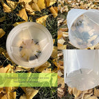30 pcs 6/5 inch Clear Nursery pots for Plants with Saucers,5/6 inch Clear Heavy pots with Side Vents for Reporting Orchids,Aroid,Monstera, Indoor & Outdoor use