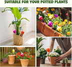 Rose Self Watering Globes for Indoor Plants - 4Pcs Iridescent Glass Plant Watering Devices with 100ML Water Bulbs, Rainbow Plant Watering Insert for Outdoor Flowers