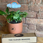 The Original Dripping Rain Cloud for Plants, Plant Watering Rain Cloud, Plant Lover Gifts, Plant Lady Gifts for Women, Plant Accessories