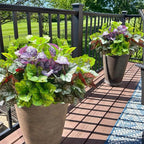 Artificial Plants Fake Heuchera Greenery for Outdoor UV Resistant, Faux Silk Realistic Bushes Look Real Shrubs for Outside Porch Planters Patio Pots Spring Summer Decor, 6 Bundles