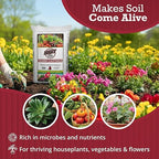 Brut Worm Farms 30 LB Organic Worm Castings, Natural Fertilizer for Indoor Outdoor Plants – Compost Soil Control, Mineral-Rich Potting Mix Additive Plant Food for Soil Health and Garden Growth