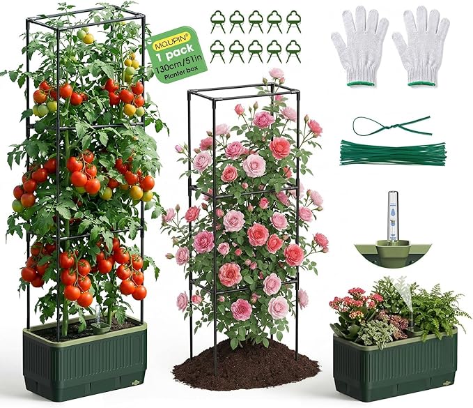 MQUPIN Raised Garden Bed Tomato Planter with Trellis, Self Watering Tomato Planter with Water Level Indicator, Larger Rectangular Tomato Cages for Indoor & Outdoor Climbing Vegetable and Plants (1)