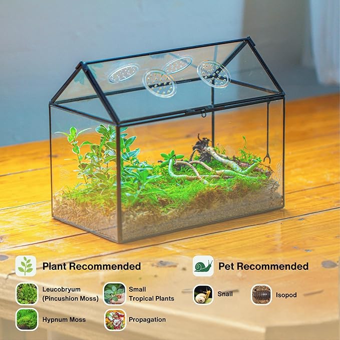 NCYP Glass Terrarium with Lid and Air Holes for Snails - 10.2" x 5.9" x 8.2" House Shape Geometric Clear Terrarium, Indoor Tabletop Decor Black (Plants Not Included)