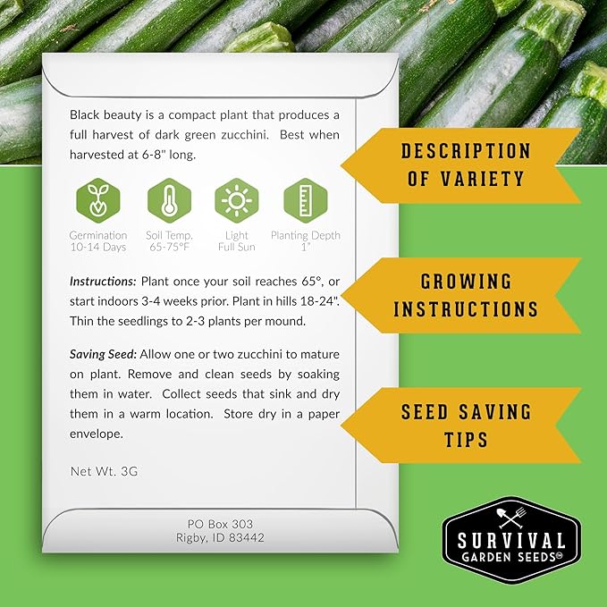 Survival Garden Seeds - Black Beauty Zucchini Seed for Planting - 5 Packs with Instructions to Plant & Grow Dark Green Summer Squash Plants in Your Home Vegetable Garden - Non-GMO Heirloom Variety