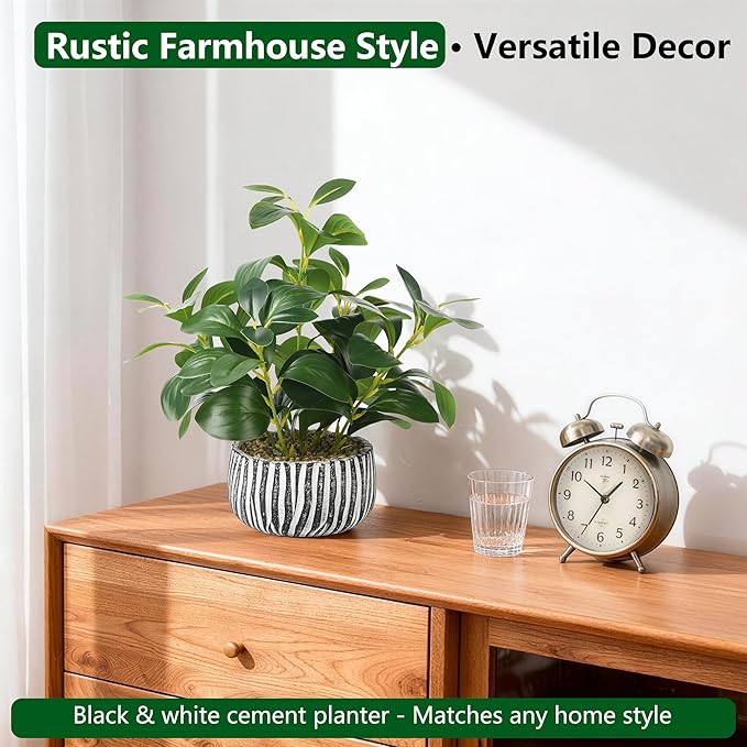 florisso Artificial Succulents with Fig Leaf Greenery in Rustic Clay Planter, Fake Succulents Potted Decor for Farmhouse, Bathroom, Bedroom, Kitchen, Office Desk and Coffee Table (Black White)