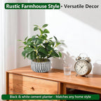 florisso Artificial Succulents with Fig Leaf Greenery in Rustic Clay Planter, Fake Succulents Potted Decor for Farmhouse, Bathroom, Bedroom, Kitchen, Office Desk and Coffee Table (Black White)