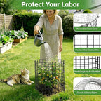 5 Pack Plant Protector from Animals, Wire Plant Cages Garden Plant Protectors, 15pcs Metal Mesh with Covers, Bunny Barricades Chicken Wire Cloche for Flower Vegetable to Keep Animals Out