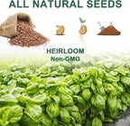Herb Seed Pod Kit With Basil Mint Thyme Mixed, Grow Anything Seed Starter Pod Kit for Hydroponics Growing System with Plant Food, Seeds Included Genovese Basil, Italian Parsley, Oregano, Chive (8-Pod)