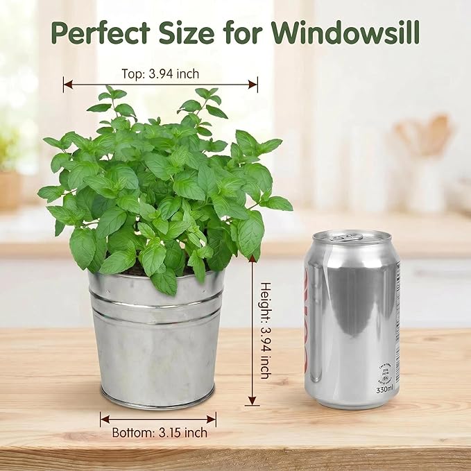 Mint Grow Kit, All-in-One Indoor Herb Garden Kit with Planter, Soil & Seeds, Easy DIY Planting Kit for Kitchen, Grow Your Own Fresh Mint for Tea & Drinks, Beginner Friendly Gardening Gift