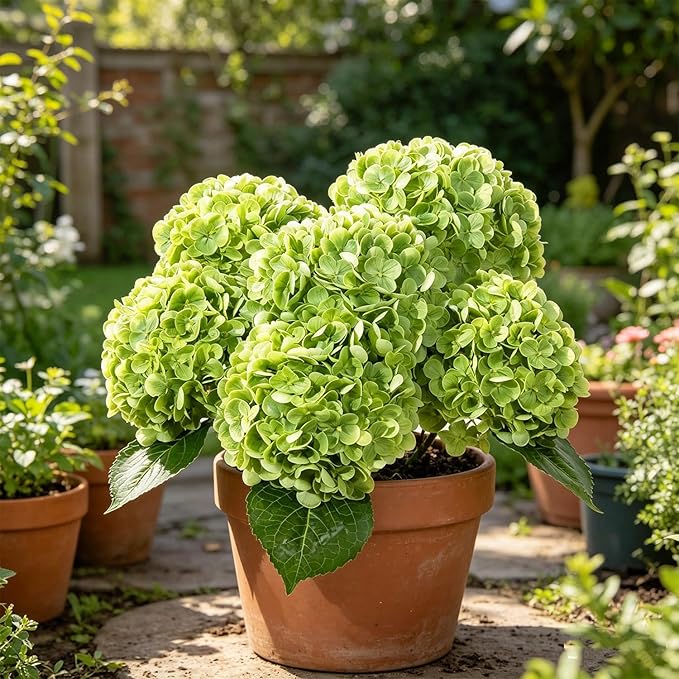 DuHouse 5Pcs Large Hydrangea Artificial Flowers,20 inch Latex Real Touch Hydrangeas Lifelike Hydrangea Flower for Home Wedding Bouquets Centerpieces Party Living Room Outdoors Decoration(Green)