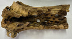 Natural Cholla Wood Chunk Large Air Plant Display Holders Individually Unique Decorative Stands or Holder (Cholla Chunk Large)