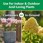 Miracle-Gro Water Soluble Azalea, Camellia, Rhododendron Plant Food - Fertilizer for Acid-Loving Plants & Flowers, 5 lb.