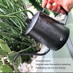 OFFIDIX Watering Can for Indoor Plants,Long Spout Metal Stainless Steel 21 oz Watering Can with 14 oz Glass Plant Mister Spray Bottle for Plant Bonsai