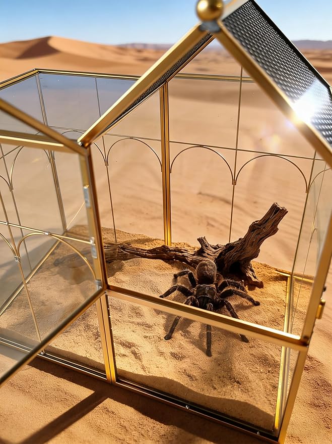 Ready-to-Use Glass Terrarium with Vents - 8.66"x4.72"x8.46" House-Shaped Jumping Spider Enclosure, Habitat for Praying Mantis, Snails, Insect or Succulent Plants - Home Garden Tabletop Decor