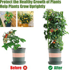 Legigo 6 Packs 18inch Plant Support Cages with 3 Adjustable Support Rings- Small Tomato Cage for Pots Plant Holder for Home Garden Balcony for Orchids, Tomato, Vegetables, Flowers, Climbing Plants