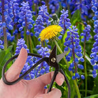 BambooMN 5.1" Heavy Duty Bonsai Forged Sharp Scissors - 30 Pieces