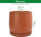 D'vine Dev 10 Inch Ceramic Beaded Stoneware Planter Pot - Flower Pot with Drainage Holes and Saucers for Indoor Succulent Plants or Flowers, Pumpkin, 27-C-P-J