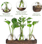 YIBOT Propagation Stations,Plant Propagation Vase,Desk Plant Terrarium with Retro Wooden Stand,Plant Lover Gifts for Women for Hydroponics Plants Home Garden Wedding Decor(3 Vase)
