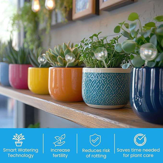 Little Green Leaf Automatic Plant Watering Globes, Self Watering Planter Inserts (Set of 10) | Clear Plastic Bulbs | 6 × 300ml + 4 × 70ml | Indoor & Outdoor Use