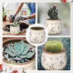 2 Pcs Vintage Planter Ceramic Plants Pot with Drainage Ice Crack Scroll Flower Vase Pot for Indoor Outdoor Plants Home Kitchen Decor Gifts(Rustic Rose,5.9")