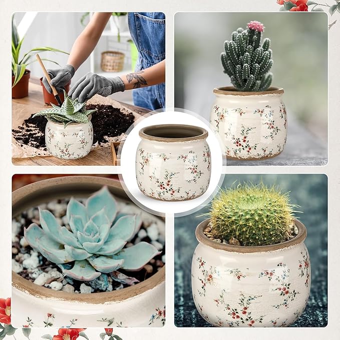 2 Pcs Vintage Planter Ceramic Plants Pot with Drainage Ice Crack Scroll Flower Vase Pot for Indoor Outdoor Plants Home Kitchen Decor Gifts(Rustic Rose,5.9")