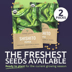Organic Shishito Pepper Seeds – Two Seed Packets! – Approx 30 Open Pollinated Non-GMO Seeds Per Packet (60 Total) – Sweet Yards Seed Co.
