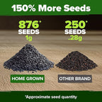 HOME GROWN Thai Basil Seeds Pack - 876 High Germination Heirloom Herb Seeds for Planting,Ideal for Growing Fresh Basil Planting Indoor or Outdoor(Ocimum basilicum VAR.thyrsiflora)