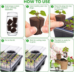 50 Pcs Grow Sponges,Replacement Seed Starter Plugs for Cuttings,Great for Soil, Tray or Planting Pods, Promotes Herbs, Vegetables and Flowers Growth